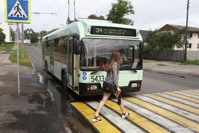 35866_trolleybus.jpg